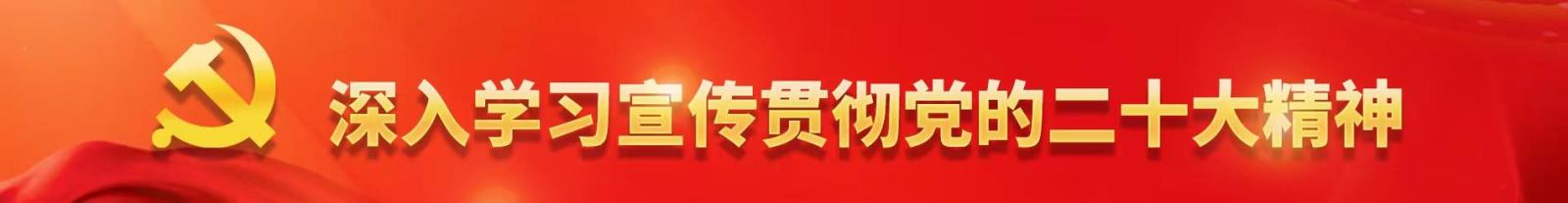 深入学习宣传贯彻党的二十大精神